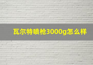 瓦尔特喷枪3000g怎么样