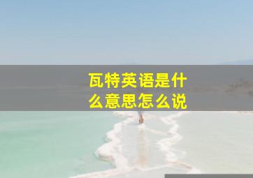 瓦特英语是什么意思怎么说