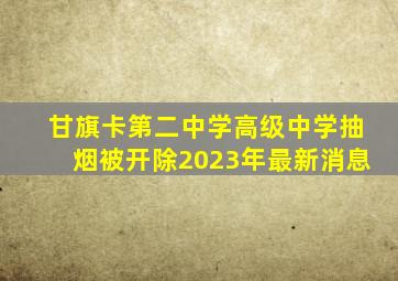 甘旗卡第二中学高级中学抽烟被开除2023年最新消息