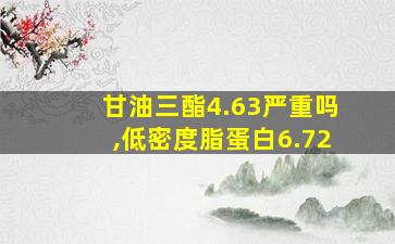 甘油三酯4.63严重吗,低密度脂蛋白6.72