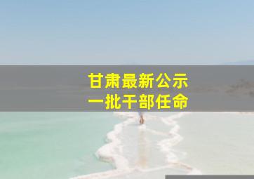 甘肃最新公示一批干部任命