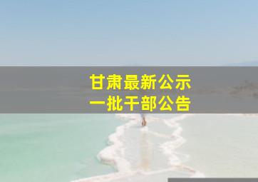 甘肃最新公示一批干部公告