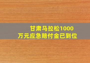 甘肃马拉松1000万元应急赔付金已到位