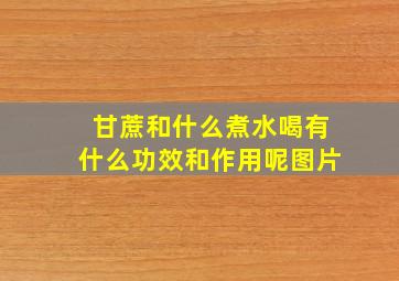 甘蔗和什么煮水喝有什么功效和作用呢图片