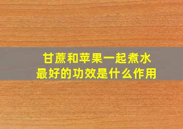 甘蔗和苹果一起煮水最好的功效是什么作用