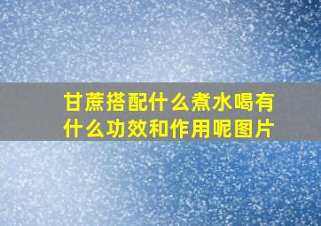 甘蔗搭配什么煮水喝有什么功效和作用呢图片