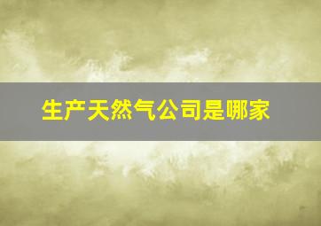 生产天然气公司是哪家