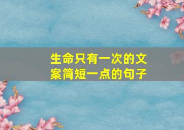 生命只有一次的文案简短一点的句子