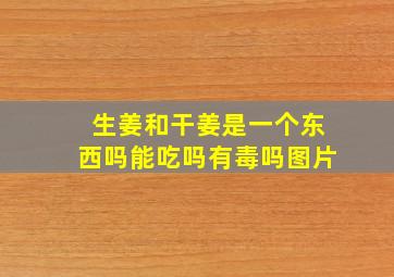 生姜和干姜是一个东西吗能吃吗有毒吗图片