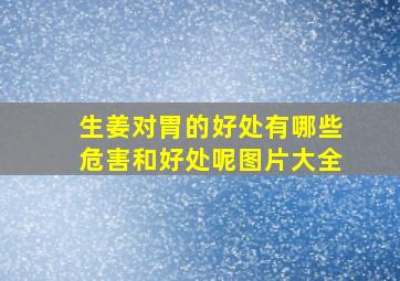 生姜对胃的好处有哪些危害和好处呢图片大全