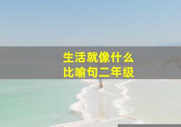 生活就像什么比喻句二年级