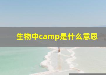 生物中camp是什么意思