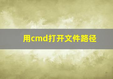 用cmd打开文件路径