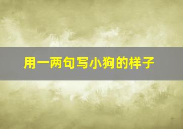 用一两句写小狗的样子