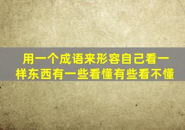 用一个成语来形容自己看一样东西有一些看懂有些看不懂