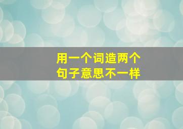 用一个词造两个句子意思不一样