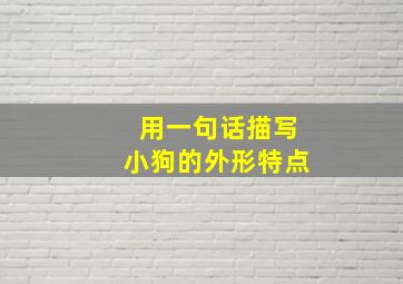 用一句话描写小狗的外形特点