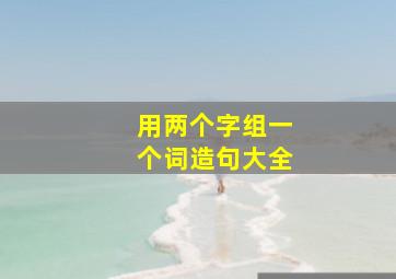 用两个字组一个词造句大全