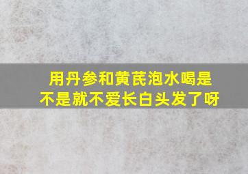 用丹参和黄芪泡水喝是不是就不爱长白头发了呀