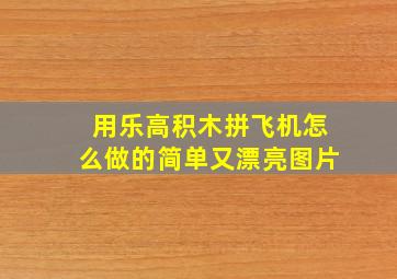 用乐高积木拼飞机怎么做的简单又漂亮图片