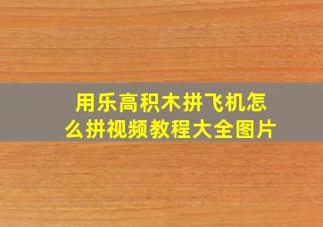 用乐高积木拼飞机怎么拼视频教程大全图片