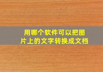 用哪个软件可以把图片上的文字转换成文档