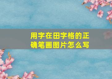 用字在田字格的正确笔画图片怎么写