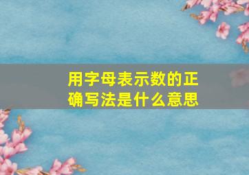 用字母表示数的正确写法是什么意思