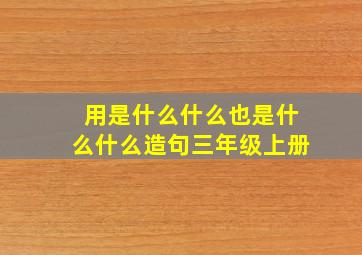 用是什么什么也是什么什么造句三年级上册