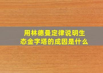 用林德曼定律说明生态金字塔的成因是什么