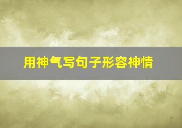 用神气写句子形容神情