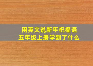 用英文说新年祝福语五年级上册学到了什么