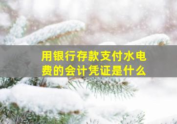 用银行存款支付水电费的会计凭证是什么