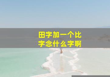 田字加一个比字念什么字啊