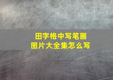 田字格中写笔画图片大全集怎么写