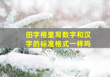 田字格里写数字和汉字的标准格式一样吗