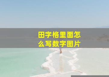 田字格里面怎么写数字图片