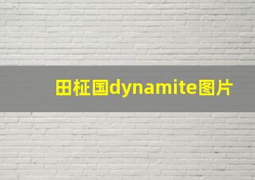 田柾国dynamite图片