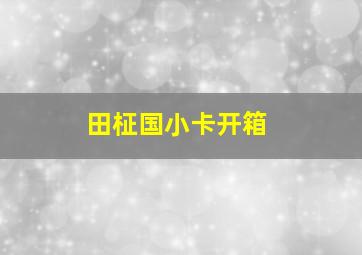 田柾国小卡开箱