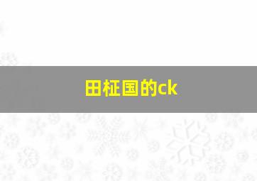 田柾国的ck