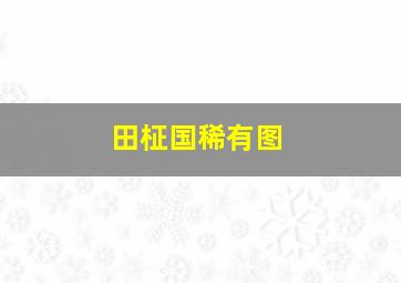 田柾国稀有图