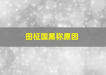 田柾国黑称原因