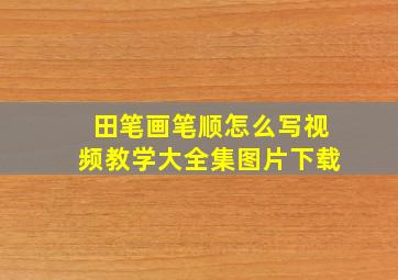 田笔画笔顺怎么写视频教学大全集图片下载