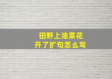 田野上油菜花开了扩句怎么写