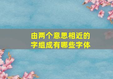 由两个意思相近的字组成有哪些字体