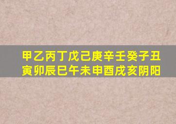 甲乙丙丁戊己庚辛壬癸子丑寅卯辰巳午未申酉戌亥阴阳