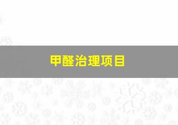 甲醛治理项目