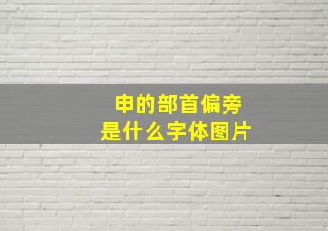 申的部首偏旁是什么字体图片