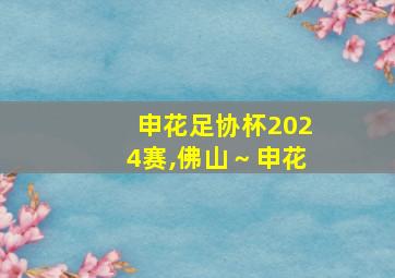 申花足协杯2024赛,佛山～申花