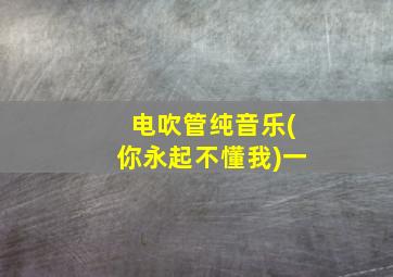 电吹管纯音乐(你永起不懂我)一